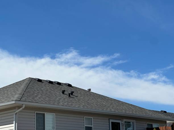 Best Metal Roofing Installation  in Richwood, OH